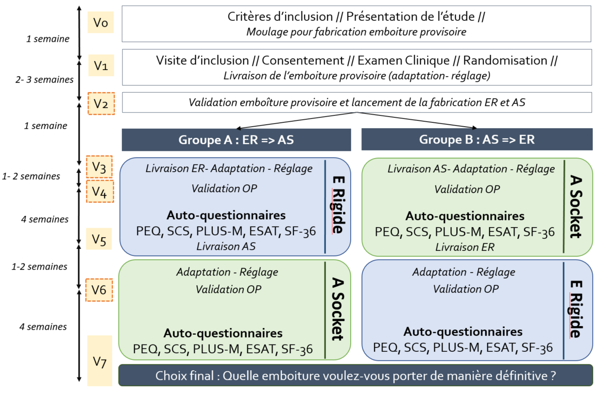 Schéma de l'étude