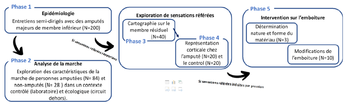 Schéma de l'étude