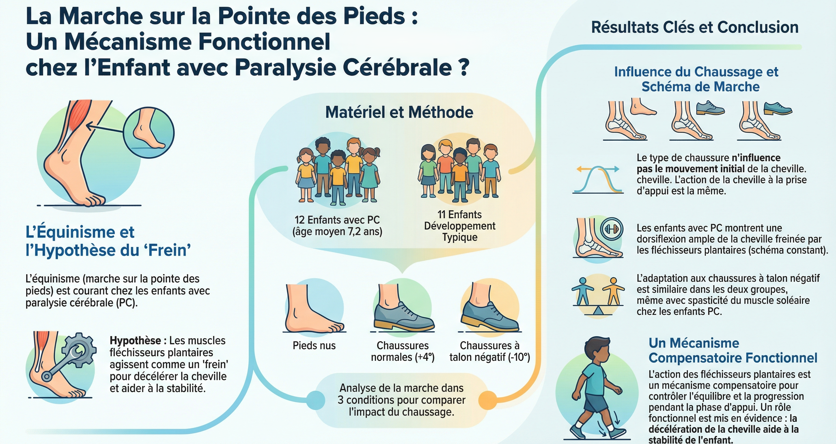 Infographie - Toe walking in children with cerebral palsy: a possible functional role for the plantar flexors